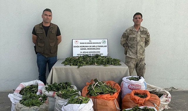 Hakkari soğanını İran&#039;a götürmek isteyen adama 1 milyon 161 bin 423 TL para cezası verildi