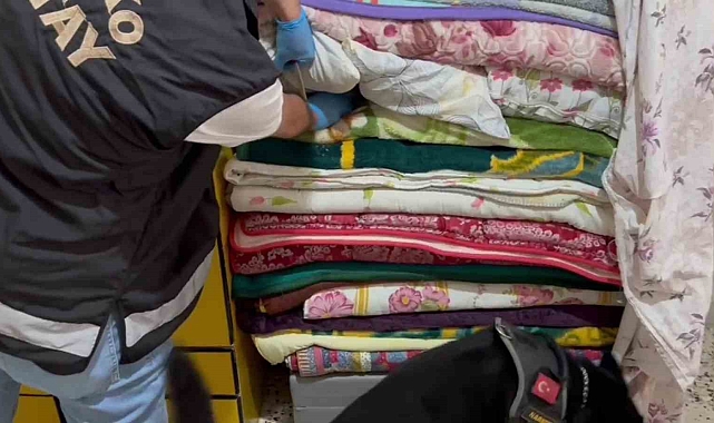 Hassas burunlu köpek, yorganların arasına saklanan uyuşturucuyu buldu