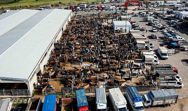 Hayvan pazarında yaşanan yoğunluk havadan görüntülendi