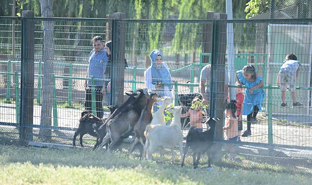 Hayvanat Bahçesi&#039;nin Misafirlerine Bayramda Ziyaretçi Akını
