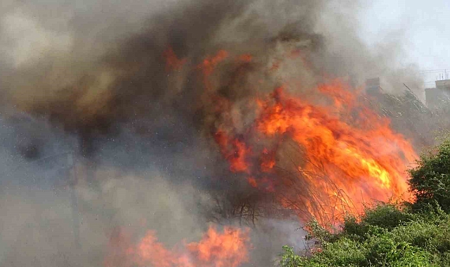 Hurdacılar, mahalleyi ateşe verip kaçtılar