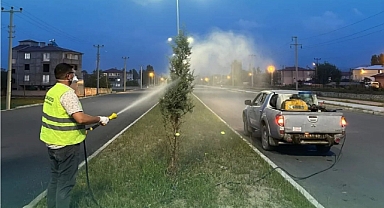 Iğdır Belediyesi ilaçlama çalışmalarına devam ediyor