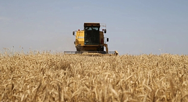 Iğdır çiftçisinin buğday mesaisi devam ediyor