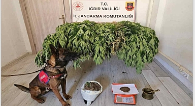 Iğdır'da uyuşturucu operasyonu! 2 kişi tutuklandı