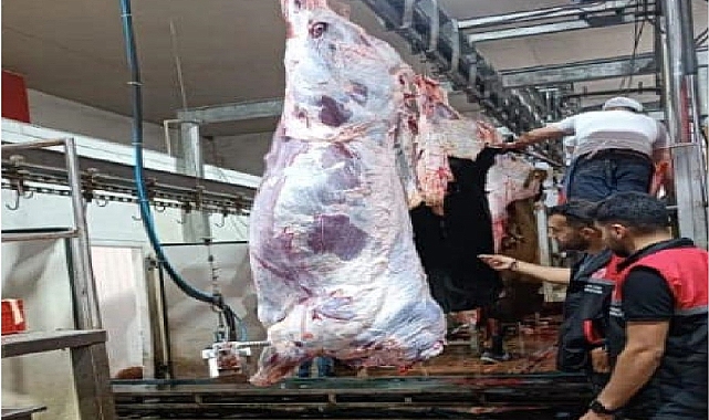 Iğdır’da Veteriner Hekimlerin Kurban Bayramı mesaisi