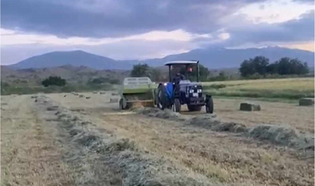 Iğdır&#039;da  yonca hasadı devam ediyor