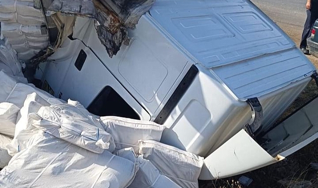 Iğdır&#039;dan, İran&#039;a yük taşıyan tır kaza yaptı: Sürücü yaralandı