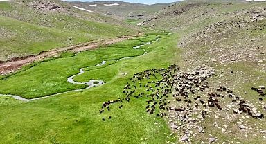 Iğdır'ın en büyük yaylası olan Sinek Yaylası görsel şölen sunuyor