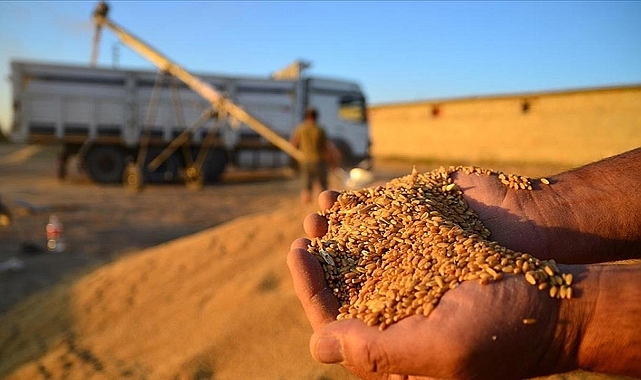 Iğdır TMO hububat kilogram fiyatı belli oldu