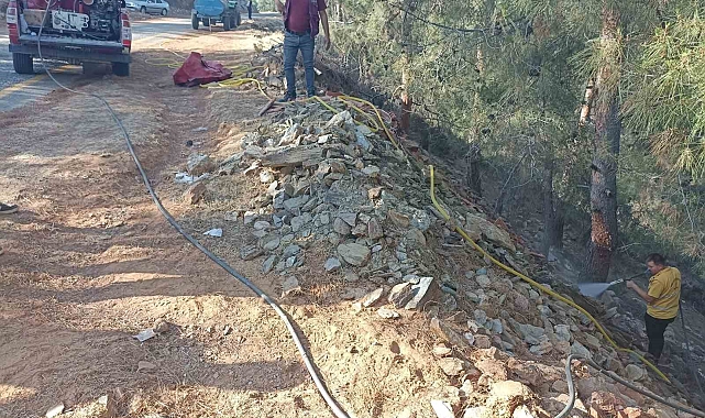 İtfaiye ekiplerinin hızlı müdahalesi, ormanlık alandaki yangını büyümeden söndürdü