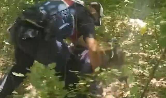 Jandarma, ağaçların arkasına saklanan düzensiz göçmenleri yakaladı