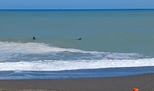 Karadeniz'e giren 16 yaşındaki çocuk hem havadan hem karadan aranıyor