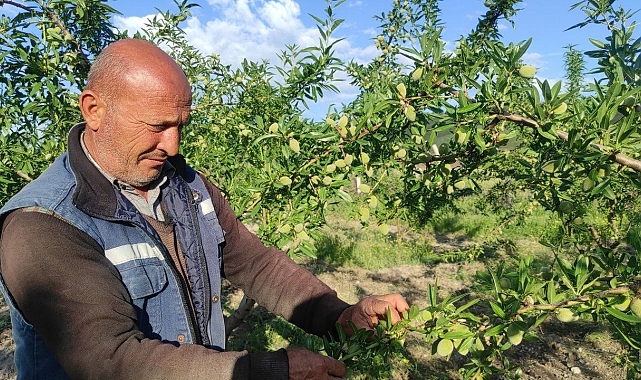 Kıraç arazi badem bahçesine dönüştü, gelir arttı