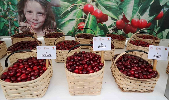 Kiraz yarışması birincisi 5 bin TL'lik ödülün sahibi oldu