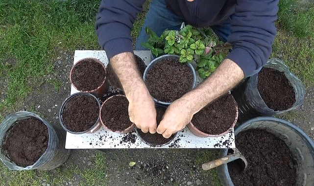 Kış boyu toplanan atıklar, gübre olarak kullanılıyor