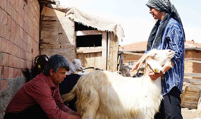 Köyde yaşayan görme engelli çiftin azmi hayran bıraktı