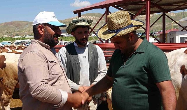 Kurban pazarlarında sıkı pazarlık