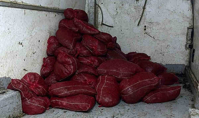 Midye kaçakçılarına operasyon düzenlendi, 2 ton midye yakalandı