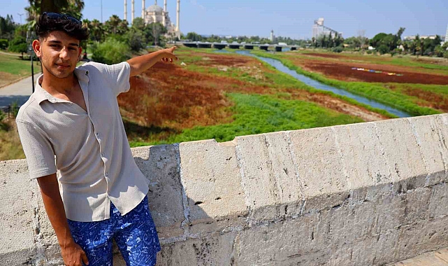 Nehri kaplayan yosunlar, insan boyunu geçti