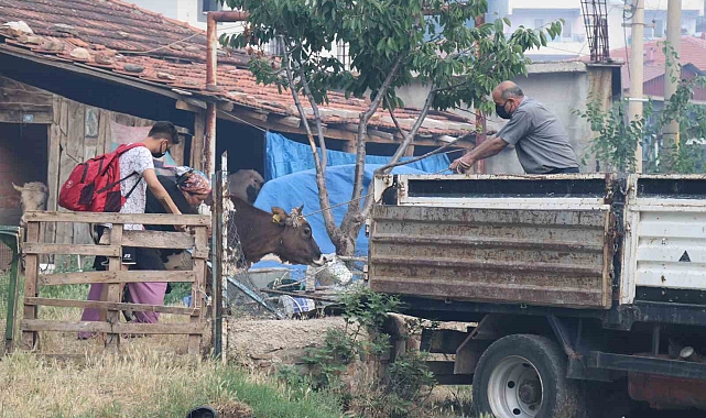 Orman yangını nedeniyle yaklaşık bin kişinin yaşadığı mahallede tahliye işlemi başlatıldı