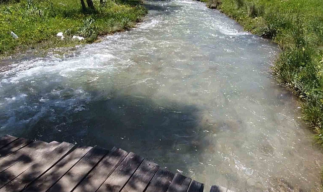 Piknik alanları doldu taştı