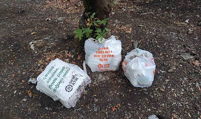 Piknikçilerin geride bıraktığı çöp yığını, pes dedirtti