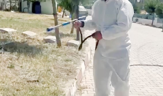 Sıcaklar arttı, ilaçlama çalışmaları başladı