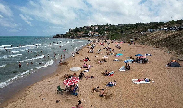 Sıcaktan bunalan inekler, serinlemek için çareyi sahile inmekte buldu