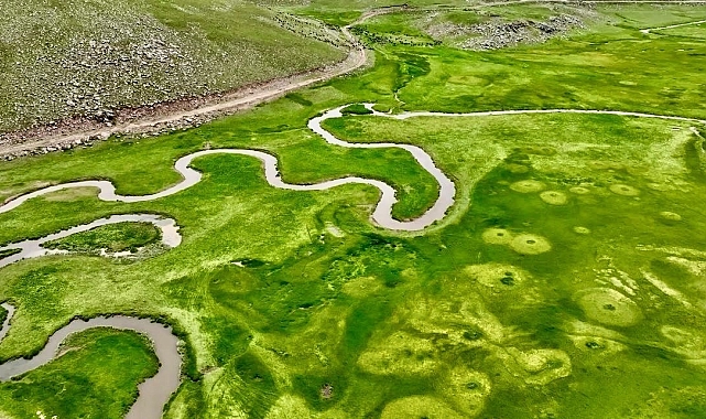 Sinek Yaylası&#039;nda volkanik platolar üzerindeki menderesler, yemyeşil doğasıyla muhteşem manzaralar sunuyor