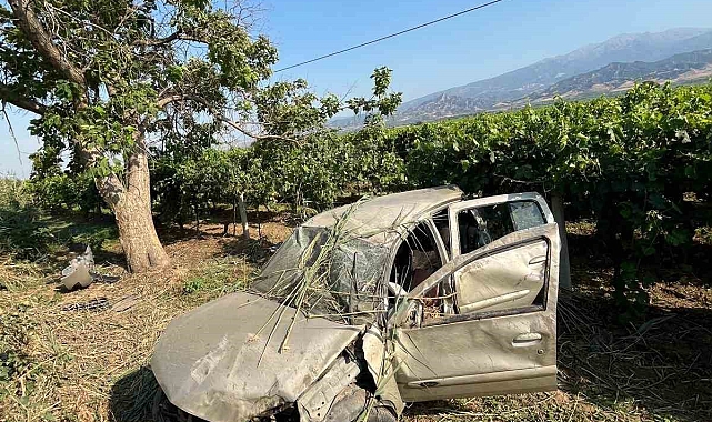 Sürücü direksiyon hakimiyetini kaybetti üzüm bağına daldı
