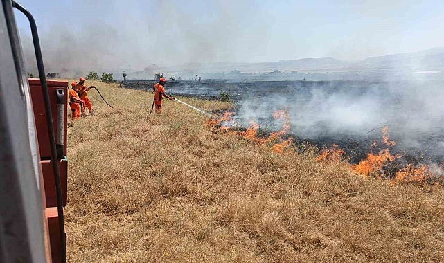 Tarım alanında çıkan yangında yaklaşık 100 dönümlük tarım alanı yandı