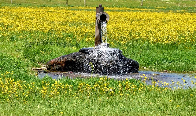 Tarımsal alan kullanımı ve kullanılabilir su potansiyeli ile ilgili değerlendirme yapıldı