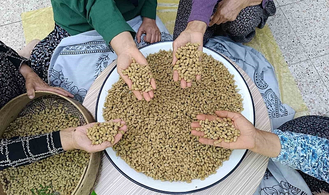 Tunceli&#039;nin Köyünden Çıkıp Dünyaya İhraç Ediliyor