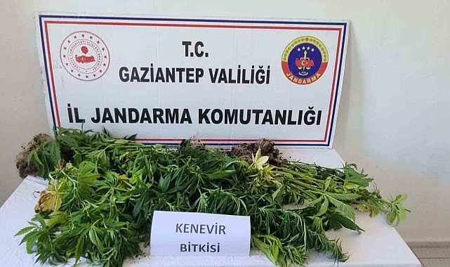 Uyuşturucu operasyonunda 4 şüpheli gözaltına alındı