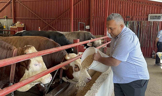 &quot;Uzman Eller Projesi&quot;nden faydalanan vatandaş, hayvan sayısını 15&#039;den 75&#039;e çıkardı