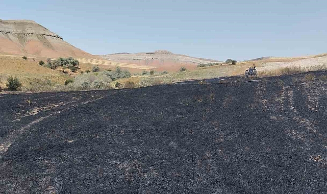 Yangın badem ve fıstık ağaçlarına zarar verdi