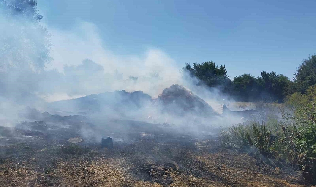 Yangın çıkan samanlık küle döndü