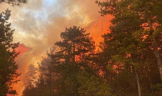 Yazın gelmesiyle birlikte, Türkiye&#039;nin ciğerleri yanmaya başladı