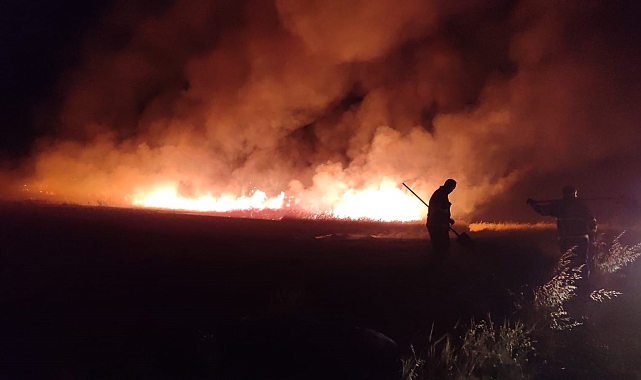 Yüzlerce dönümlük ekili arazi ve mera alanı kül oldu