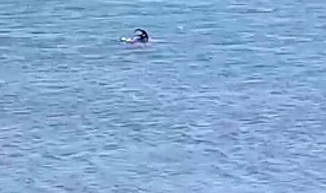 Yüzlerce metre uzunluğundaki barajda yüzen keçi, dakikalar içinde kıyıya ulaştı