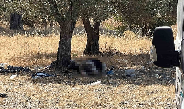 15 yıldır zeytinlikte yaşayan şahıs ölü bulundu