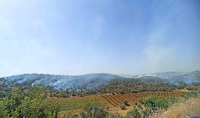 5 ayrı noktada çıkan yangın, söndürüldü