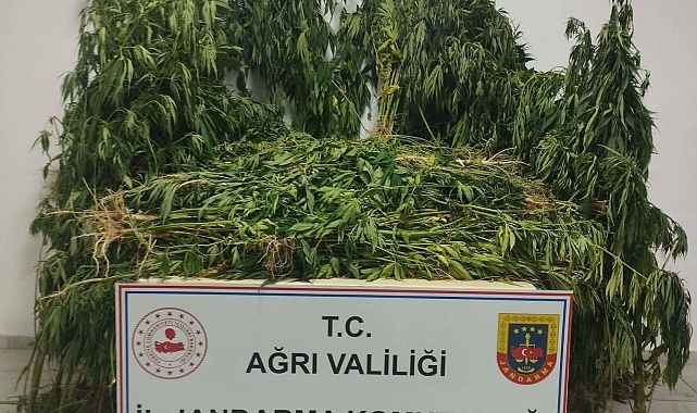 Ağrı&#039;da düzenlenen iki ayrı operasyonda kaçak mal ve uyuşturucu ele geçirildi