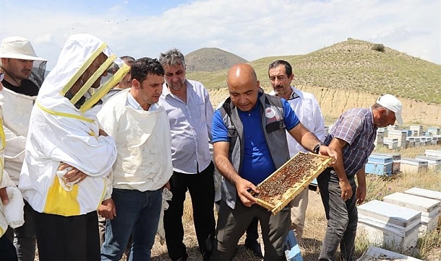 &quot;Ana arıların her yıl yenilenmesini faydalı&quot;