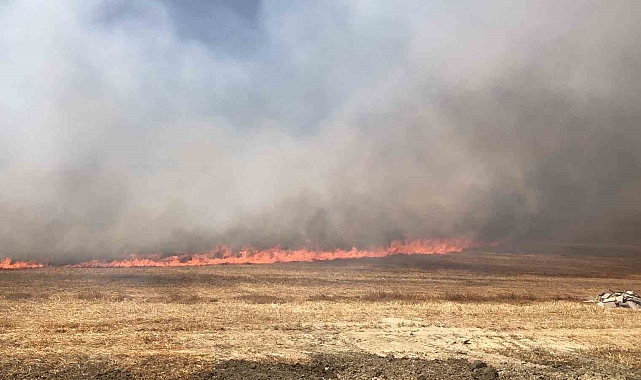 Anız yangınında 300 dönüm alan küle döndü