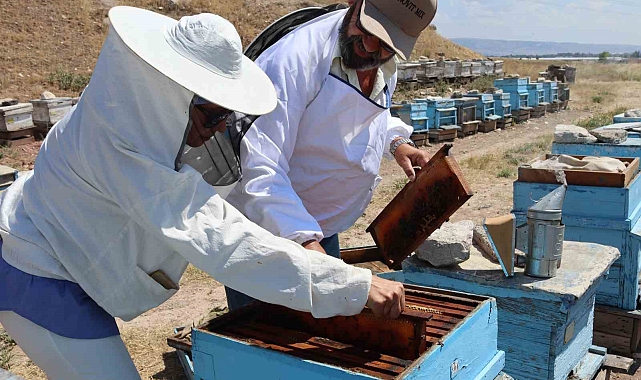 Arıcılar destek bekliyor