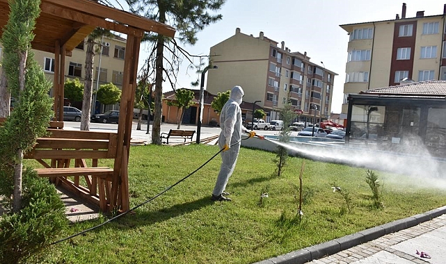 Aşırı sıcaklıklarla çoğalan çeşitli haşerelerle mücadele sürüyor