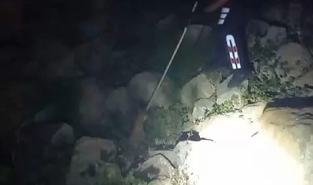 Ayağı yaralı halde bulunan tilki, tedavi altına alındı