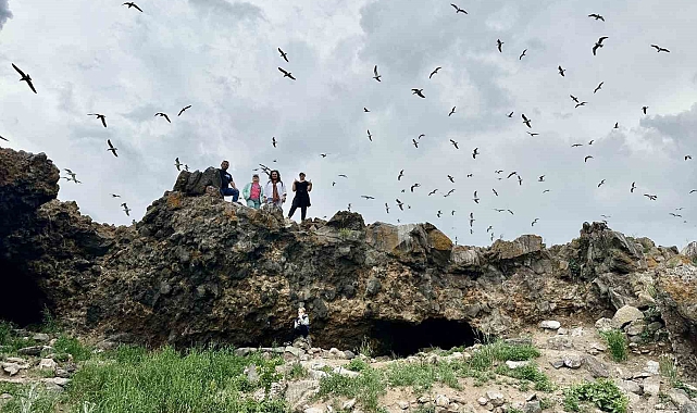 Balık Gölü, 2 bin 241 rakımda yüzlerce kuşa ev sahipliği yapıyor