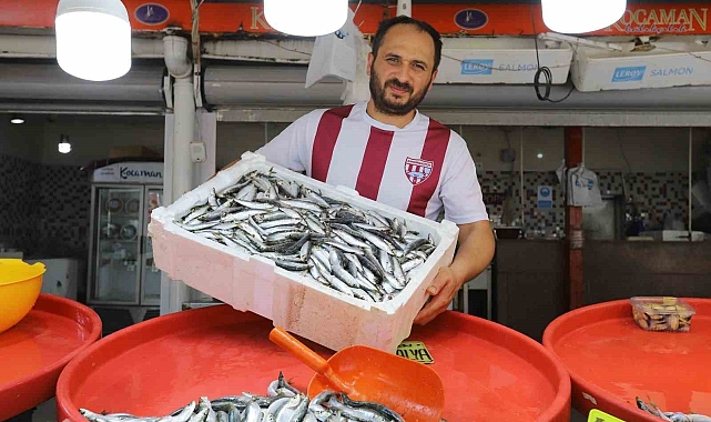 Balıkesir&#039;in Bandırma İlçesinde Sardalya Bolluğu Yaşanıyor